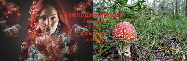 spice Козловка