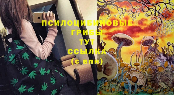 spice Козловка