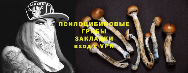 не бодяженный Козельск